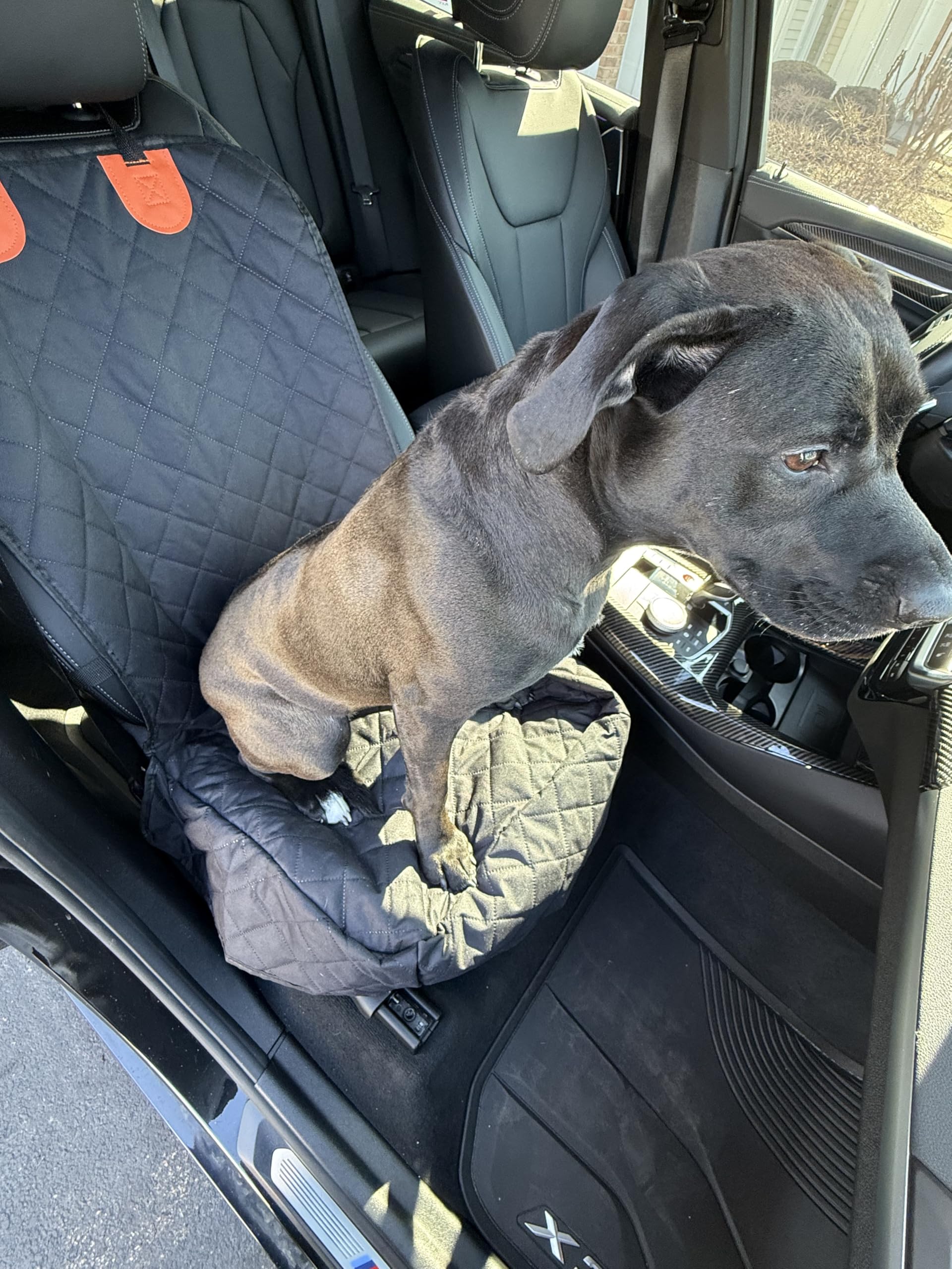 Waterproof Dog Front Seat Cover, Quilted Padded Pet Car Seat Protector with Non-Slip Backing, Heavy-Duty for Cars Trucks SUVs
